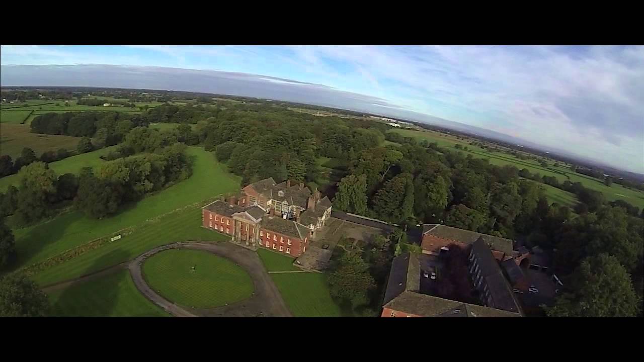 Squashed Apple Reviews