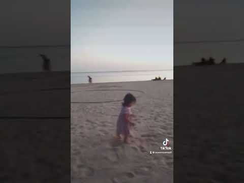 #asma #beach #loveforever #abudhabi #cutereactions