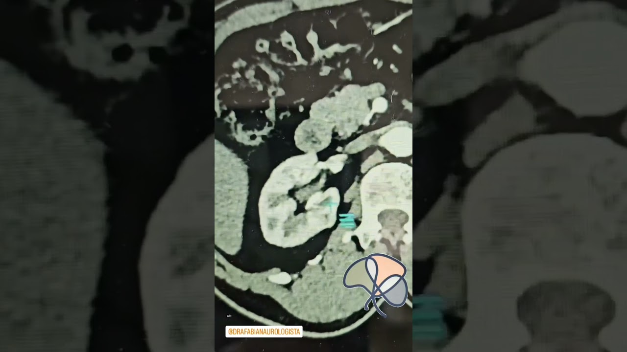 Fabiana Martino Sehn-14