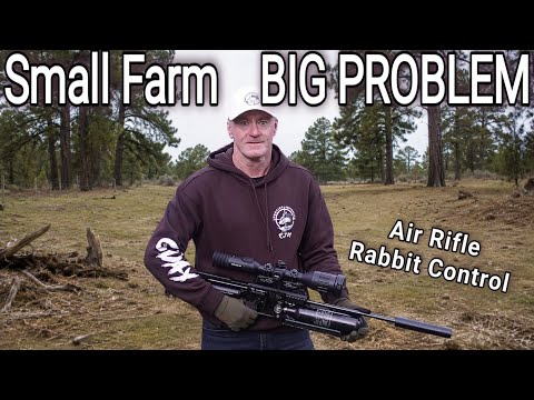 SMALL FARM DESTROYED BY RABBITS ● MY BIGGEST NIGHT EVER 