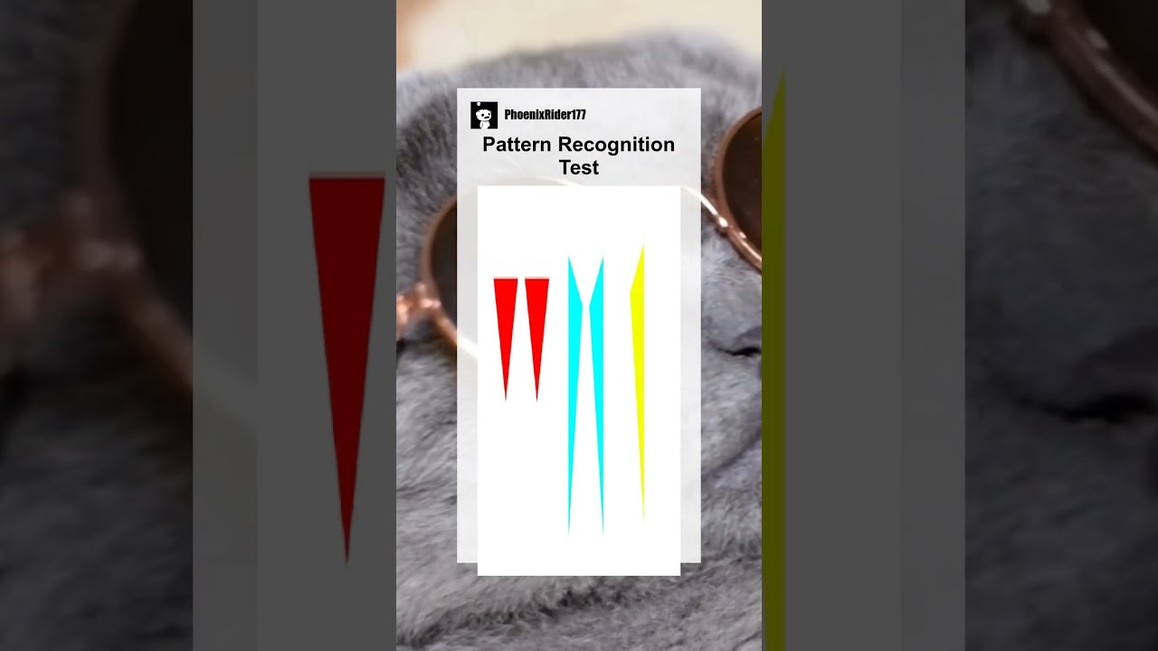 Pattern Recognition Test #memes #meme #memesdaily