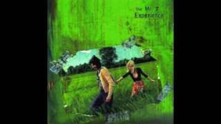 Mr. T Experience - Are You There God?  It&#39;s Me, Margaret