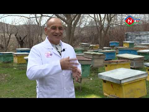 Bərəkət-26.03.2021