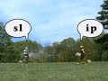 Between The Lions Gawain S Word Slip