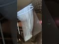 #femur fracture recovery in 2 months X ray #shorts #shortvideo #youtubeshorts