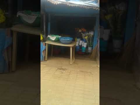 jeelani flower merchant mastimol cancona