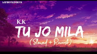 Download lagu Tu Jo Mila Slowed   Reverb K.K | Bajrangi Bhaijaan | LOFIBOY mp3