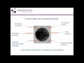 Antibody-Nanoparticle Conjugation Webinar: Gold nanoparticles - optimization of conjugates