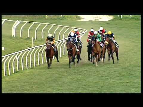 Galoppo 25/02/2020 - 2ª corsa