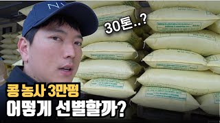 콩 농사 3만평 - 콤바인으로 탈곡한 콩 선별하기 (한가마 얼마?)