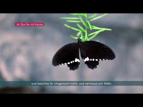 Koran Hörbuch deutsch Sure 33 Al-Ahzab (Die Verbündeten)