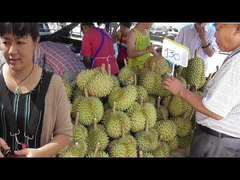 Monthong Durians ( Thai Jackfruit) | Thai People are Crazy to Buy | Bangkok Street Food Video