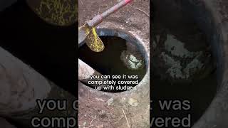 Toilet’s Been Gurgling, I opened the Lid and saw why #shorts