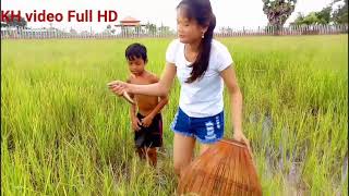 Awesome Fishing - Enjoy Catching Freshwater Fish Near My Village By Ang Rot Fishing - Catch n Cook