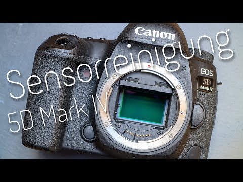 Sensorreinigung 5D Mark IV - Meine Erfahrungen