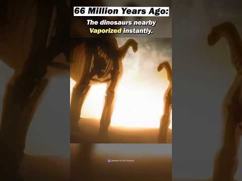 The Asteroid that Wiped out the Dinosaurs | The Chicxulub Crater