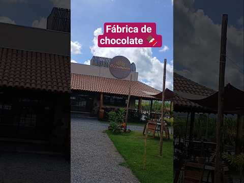 fábrica de chocolate em itamaraju Bahia #corumbaucacau#fábricachocolate