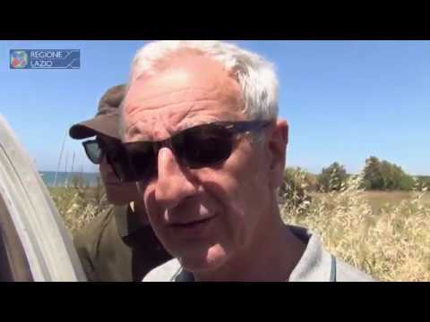 Liberazione tartaruga Macchiatonda