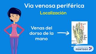 Taller de v&iacute;a venosa