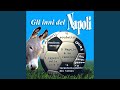 La tarantella dei tifosi