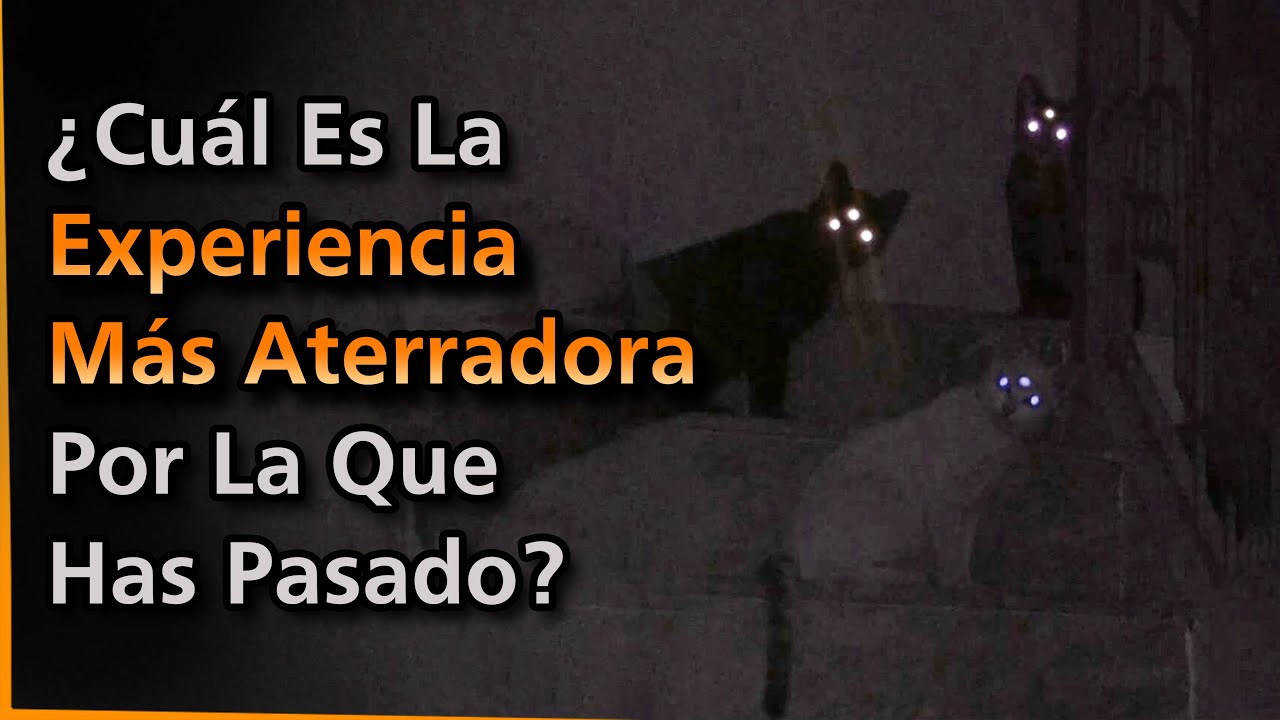 ¿Cuál Es La Experiencia Más Aterradora Por La Que Has Pasado? | Bloodstained