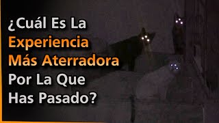 ¿Cuál Es La Experiencia Más Aterradora Por La Que Has Pasado? | Bloodstained