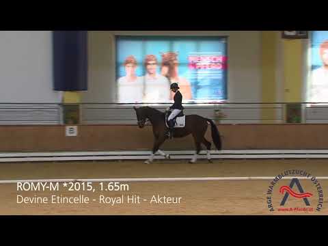 Romy M (geb. 2015), v. Divine Etincelle – Royal Hit – Akteur  *** ELITE VERKAUFSSCHAU 2018 ***