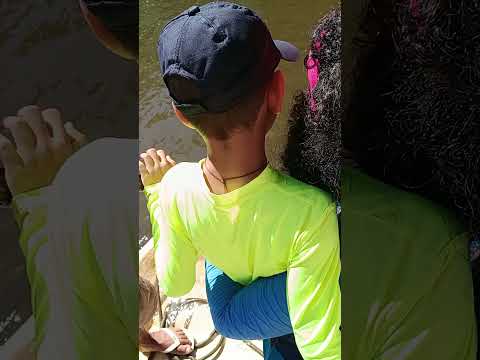 Peixe Boi lindo demais! #nordeste #trip #adventure #animals #love #family #viagem #funny
