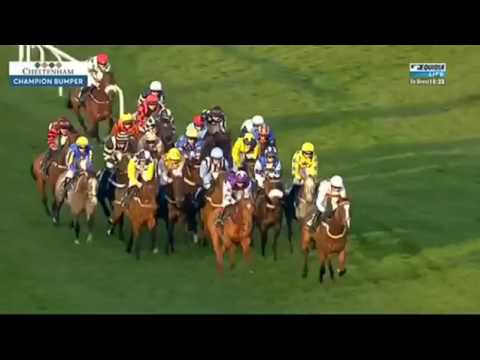 15/03/2017 Weatherbys Champion Bumper Standard Open NH Flat Race Gr I FAYONAGH