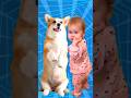 Super Cute Dog Dance 2