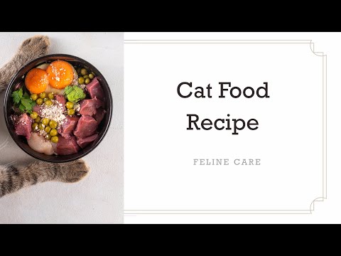 Easy Homemade Cat Food Recipe (FDA-Approved)