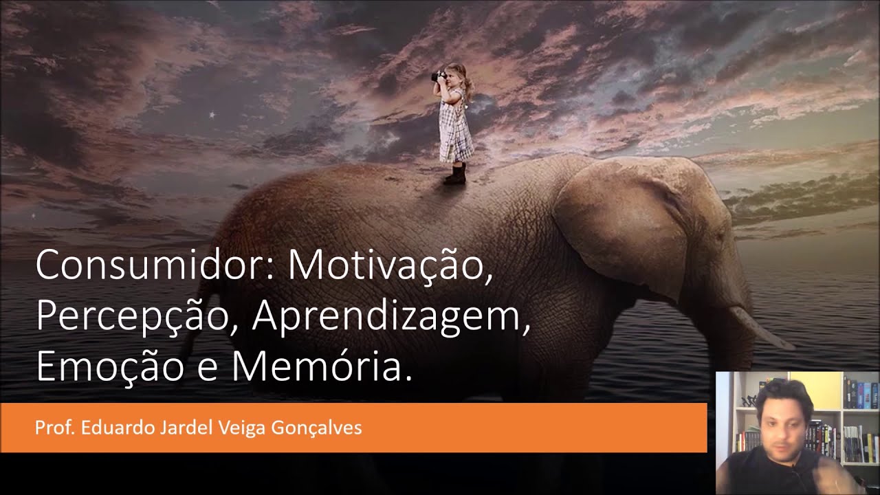 Consumidor: Motivação, Percepção, Aprendizagem, Emoção e Memória