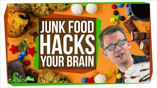 How Junk Food Hacks Your Brain