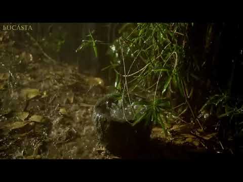 Pure Heavy Rain in Garden avec Deep Thunder Sounds - De vrais sons de pluie pour dormir, se détendre