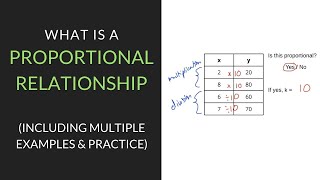 What is a Proportional Relationship? | 7th Grade | Mathcation.com