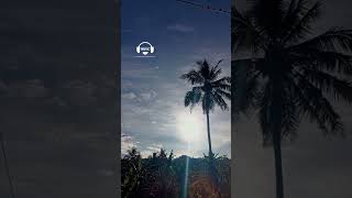Download lagu Mentari pagi di Mekarmukti  #YearofYou #garutkekinian #youtubeshort mp3