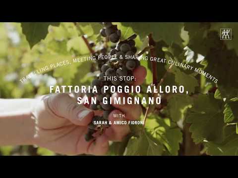 Italië - Poggio Alloro, San Gimignano