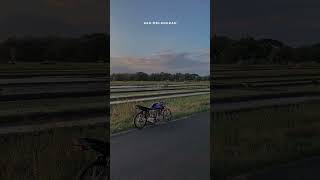 Download lagu story'wa Tiger herex #shorts mp3 Download lagu story'wa Tiger herex #shorts mp3