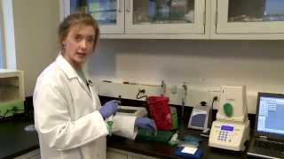 iQ-Check Standard Extraction Protocol Training