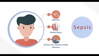 Blood Culture in the Diagnosis of Sepsis