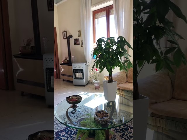 Vendesi appartamento in Centro (Via Cutro)