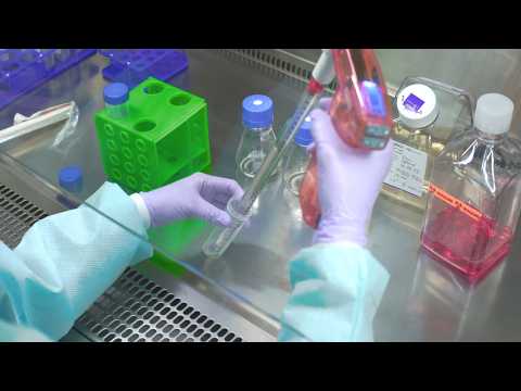 Cell Culture Video: Step-by-Step Guide to Passaging Cells