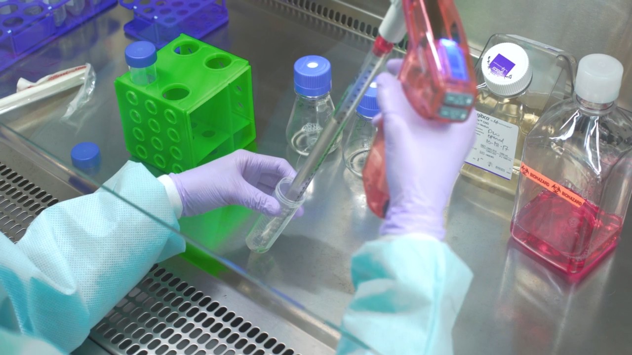 Passaging Cells: Cell Culture Basics