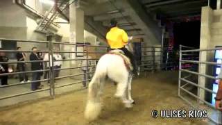 Me gusta tener de a dos - El Chapo