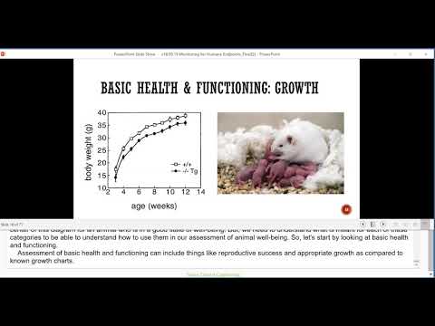 OLAW Webinar: Monitoring for Humane Endpoints: Developing an Appropriate Strategy