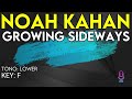 Noah Kahan - Growing Sideways - Karaoke Instrumental - Lower