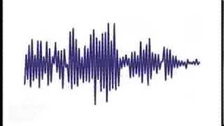 Rosso's Scoop for Jackie O