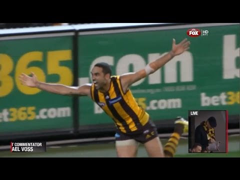 2013 Preliminary Final - Hawthorn Vs Geelong (SEN commentary)