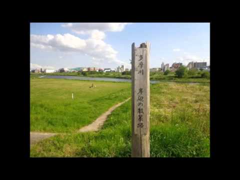 帰り道 のサムネイル