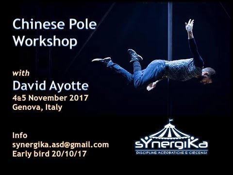 sYnergiKa asd - Chinese Pole Workshop with David Ayotte